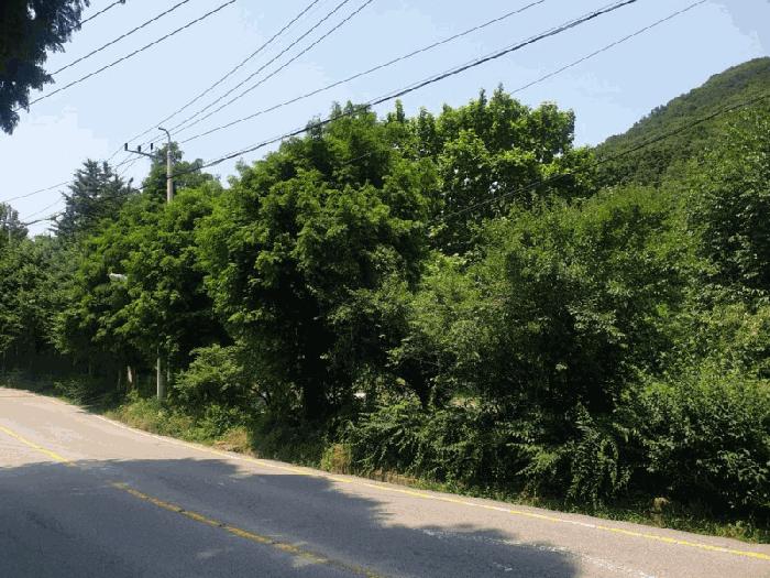 광주광역시 동구 지산동 25 전 경매 사진 3