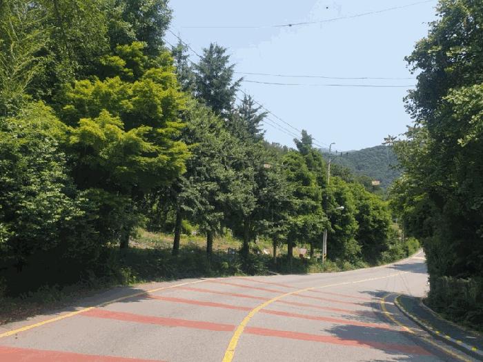 광주광역시 동구 지산동 25 전 경매 사진 4