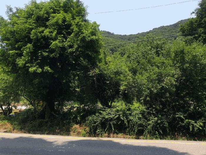 광주광역시 동구 지산동 25 전 경매 사진 6