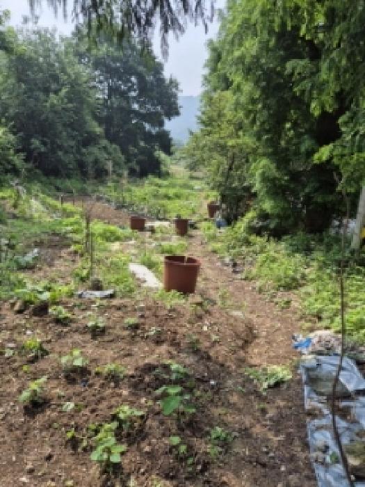 광주광역시 동구 지산동 25 전 경매 사진 9