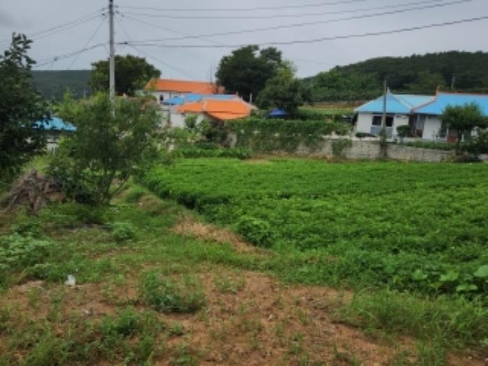 인천광역시 중구 남북동 575 전 경매 사진 10