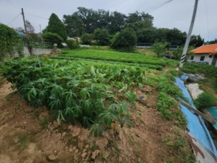 인천광역시 중구 남북동 575 전 경매 사진 20