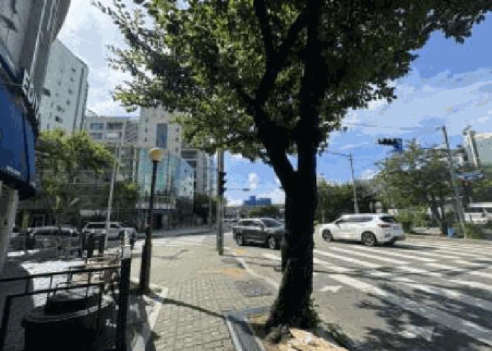 인천광역시 미추홀구 도화동 24-74 5층501호 다세대(빌라) 경매 사진 5