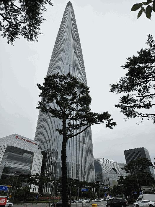 서울특별시 송파구 신천동 29 롯데월드타워앤드롯데월드몰 월드타워동 44층4412호 오피스텔 경매 사진 4