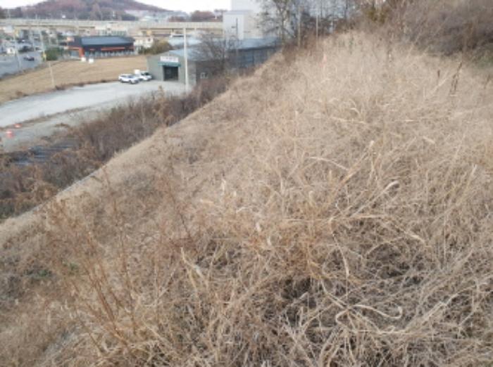 경기도 화성시 양감면 용소리 908-11 전 경매 사진 19