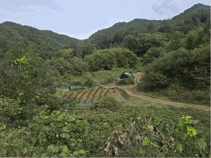 강원특별자치도 홍천군 남면 양덕원리 22-5 공장 경매 사진 2