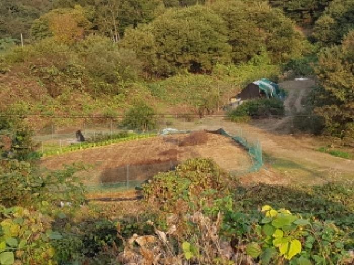 강원특별자치도 홍천군 남면 양덕원리 22-5 공장 경매 사진 20