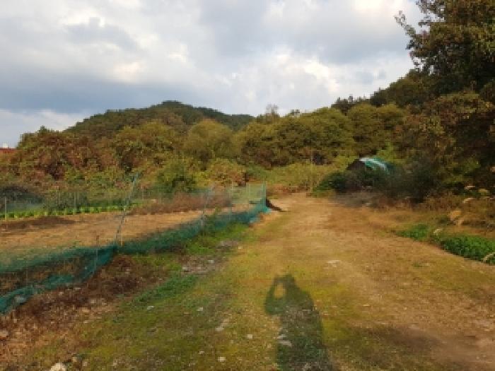 강원특별자치도 홍천군 남면 양덕원리 22-5 공장 경매 사진 7