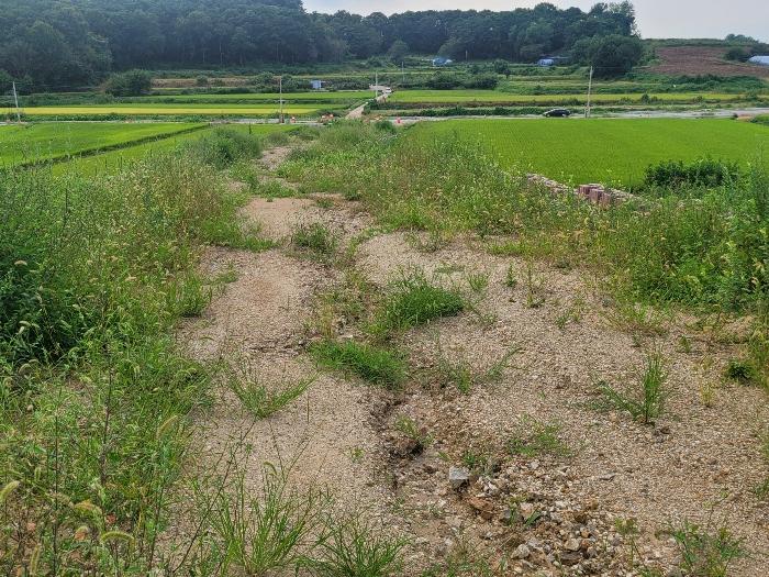 경기도 평택시 고덕면 당현리 298-6 답 경매 사진 2