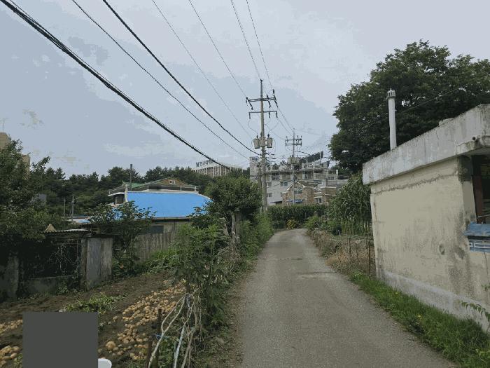 강원특별자치도 원주시 흥업면 흥업리 1751 답 경매 사진 3