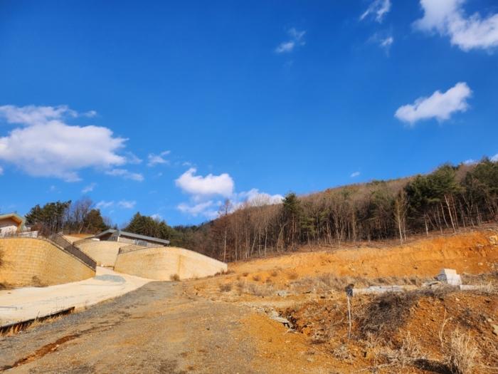 충청북도 제천시 청풍면 도곡리 292-15 임야 경매 사진 12