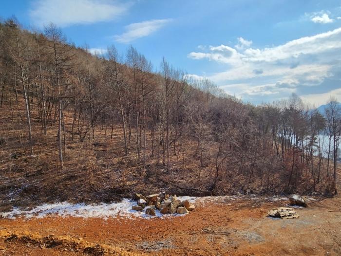 충청북도 제천시 청풍면 도곡리 292-15 임야 경매 사진 20