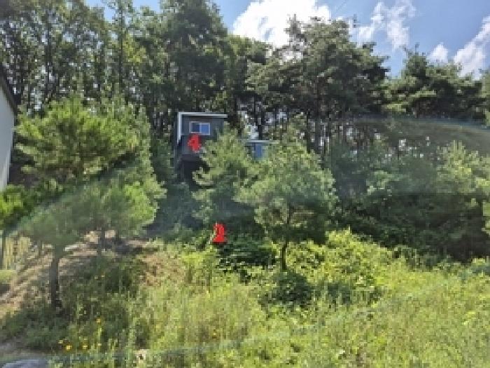 강원특별자치도 횡성군 갑천면 화전리 66-23 상가 경매 사진 10