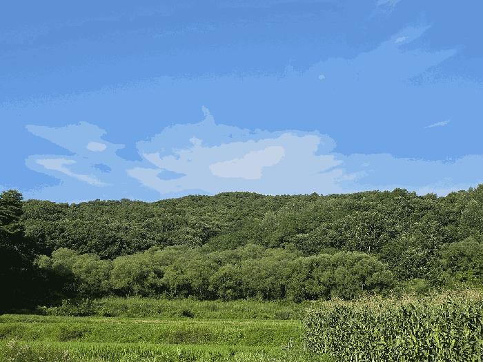 강원 원주시 임야