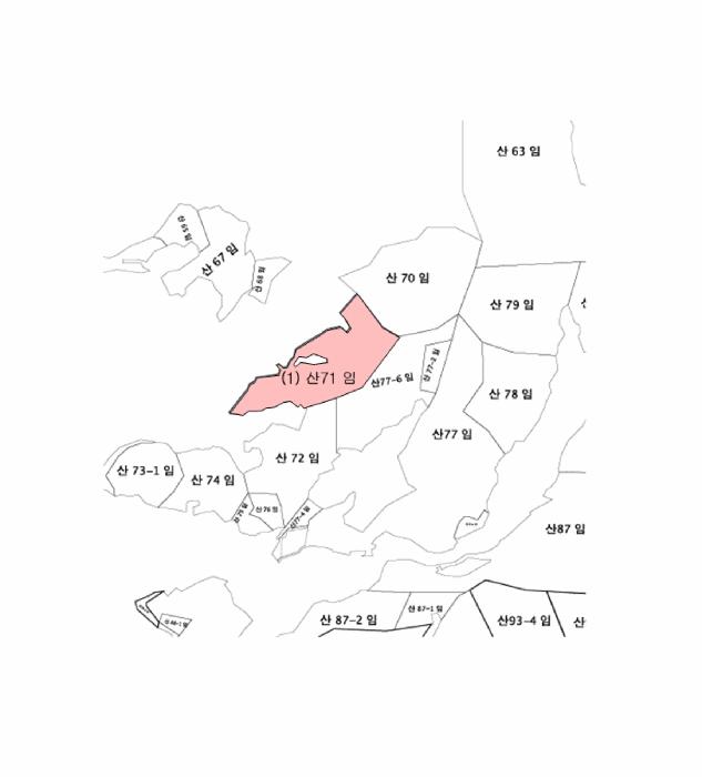 강원특별자치도 원주시 문막읍 궁촌리 산71 임야 경매 사진 6