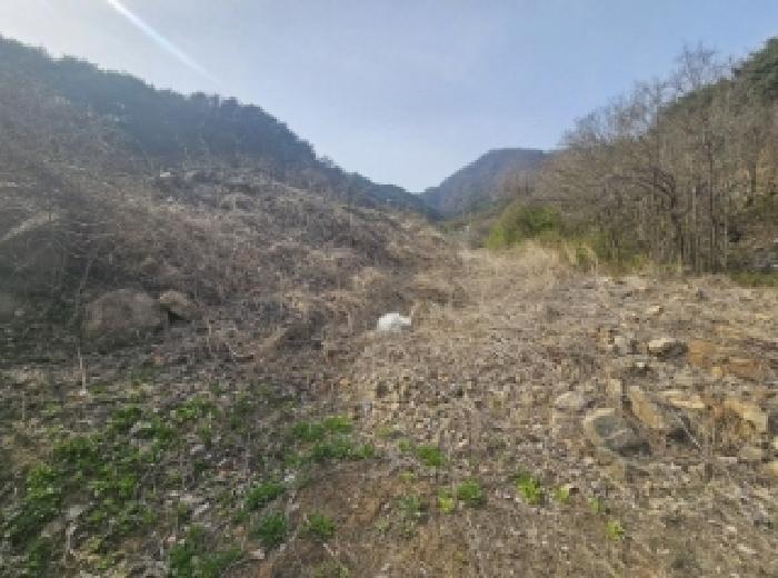 충청북도 단양군 단성면 가산리 9-1 전 경매 사진 18