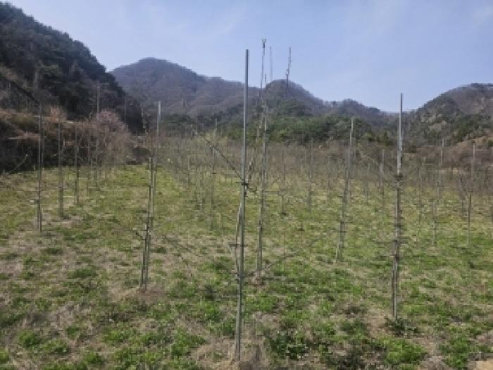 충청북도 단양군 단성면 가산리 9-3 전 경매 사진 20