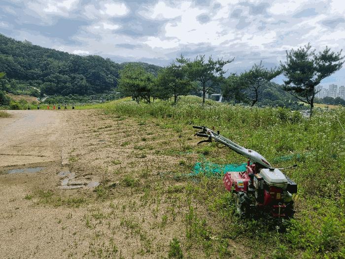 세종특별자치시 금남면 호탄리 143 전 경매 사진 3