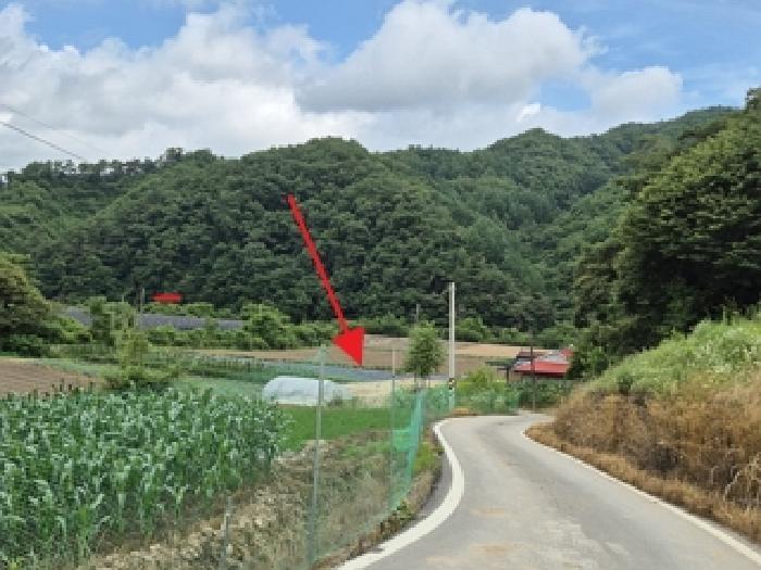 강원특별자치도 횡성군 청일면 춘당리 424 답 경매 사진 1