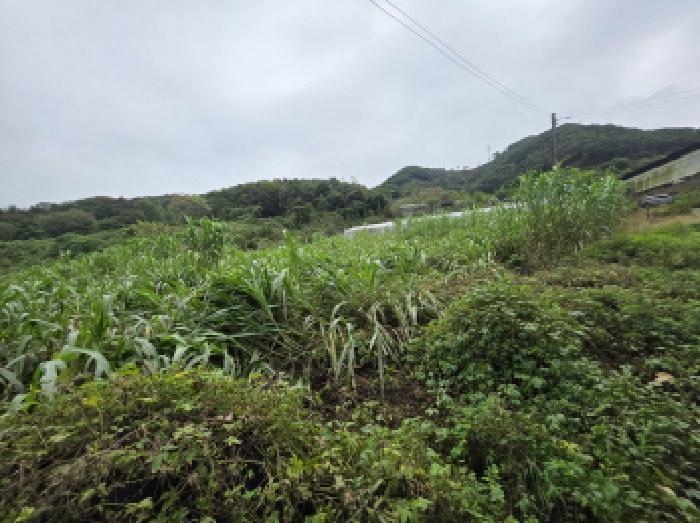 충청북도 제천시 송학면 무도리 320-2 창고 경매 사진 10