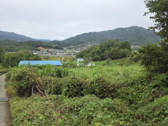 충청북도 제천시 송학면 무도리 320-2 창고 경매 사진 11