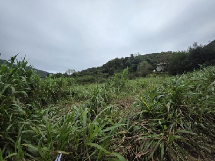 충청북도 제천시 송학면 무도리 320-2 창고 경매 사진 12
