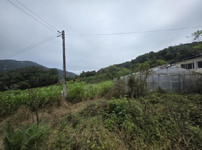 충청북도 제천시 송학면 무도리 320-2 창고 경매 사진 14
