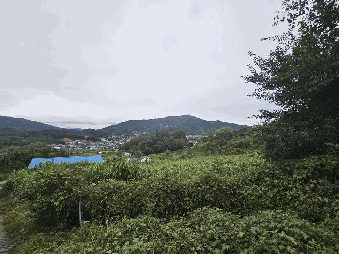 충청북도 제천시 송학면 무도리 320-2 창고 경매 사진 18