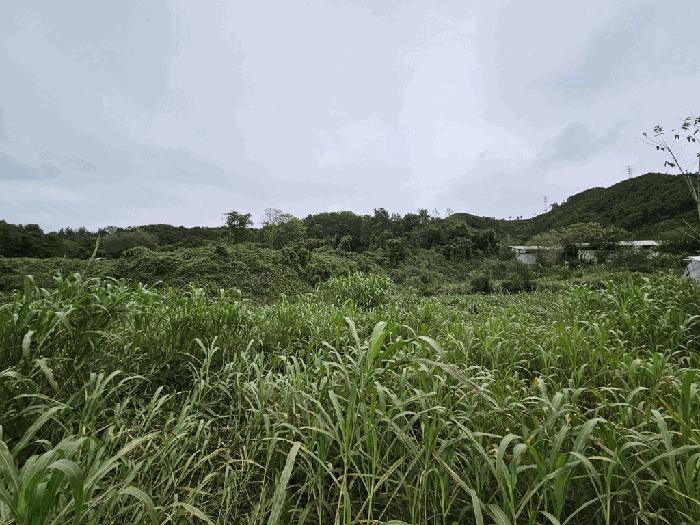 충청북도 제천시 송학면 무도리 320-2 창고 경매 사진 2