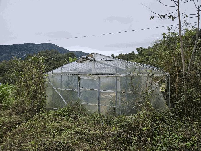 충청북도 제천시 송학면 무도리 320-2 창고 경매 사진 6