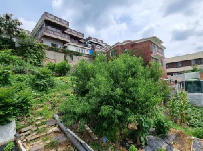 대전광역시 동구 판암동 793 전 경매 사진 14