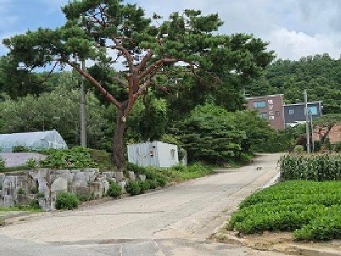 강원특별자치도 원주시 소초면 흥양리 406-2 주택 경매 사진 19