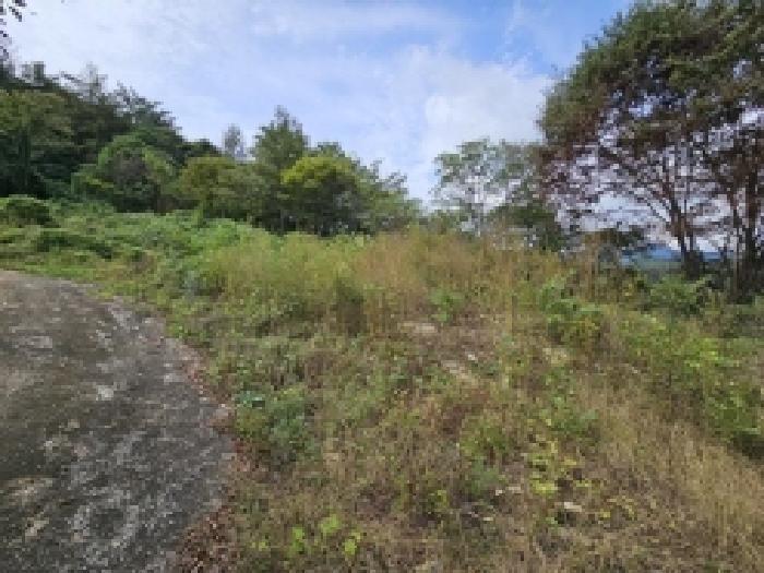 충청북도 단양군 적성면 하리 212 전 경매 사진 12