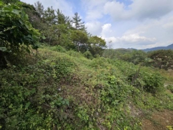 충청북도 단양군 적성면 하리 212 전 경매 사진 15