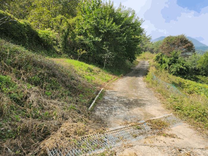 충청북도 단양군 적성면 하리 212 전 경매 사진 4