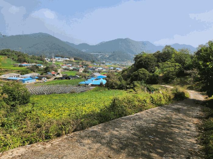 충청북도 단양군 적성면 하리 212 전 경매 사진 6