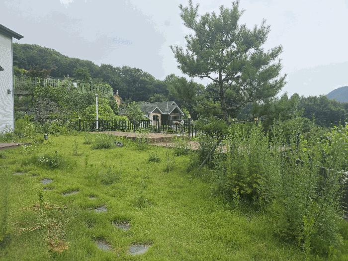 강원특별자치도 원주시 문막읍 건등리 124-79 주택 경매 사진 2