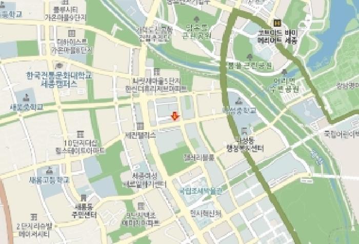 세종특별자치시 나성동 800 센트럴타워 4층404호 근린상가 경매 사진 19