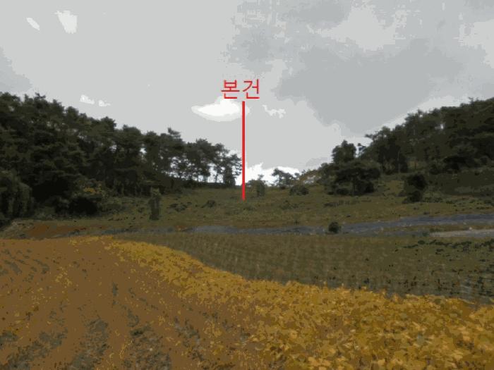 충청북도 단양군 영춘면 오사리 185 전 경매 사진 1
