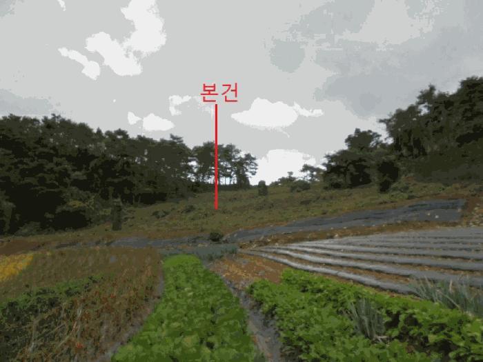 충청북도 단양군 영춘면 오사리 185 전 경매 사진 2