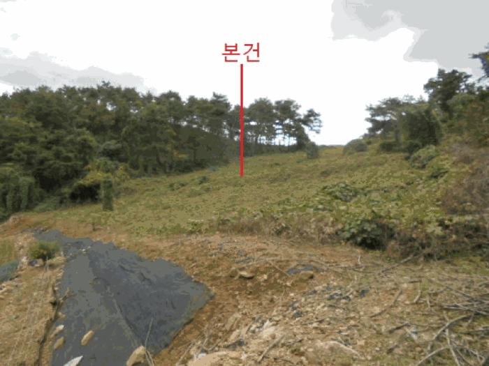 충청북도 단양군 영춘면 오사리 185 전 경매 사진 3