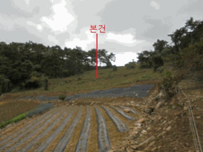 충청북도 단양군 영춘면 오사리 185 전 경매 사진 4