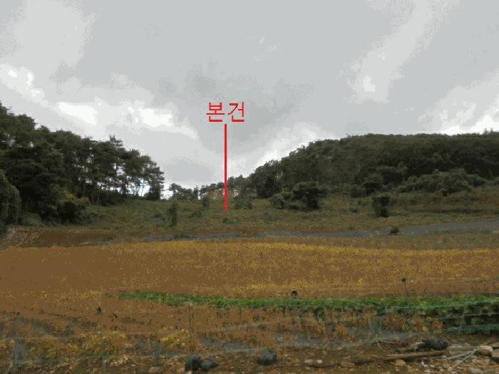 충청북도 단양군 영춘면 오사리 185 전 경매 사진 7