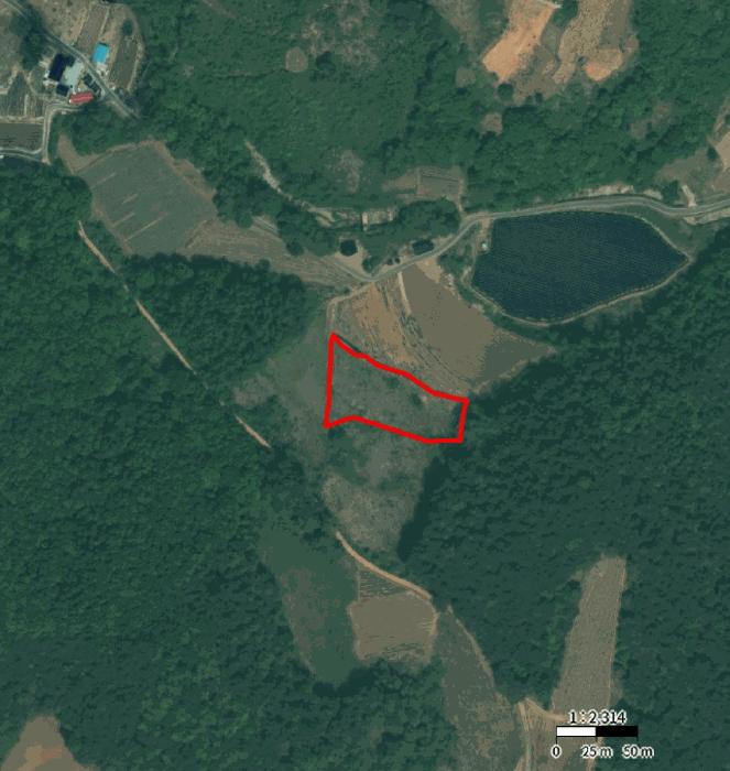 충청북도 단양군 영춘면 오사리 185 전 경매 사진 8