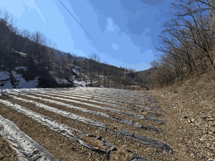 충청북도 단양군 가곡면 여천리 102 전 경매 사진 1