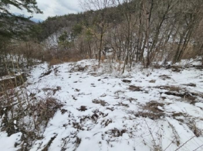 충청북도 단양군 가곡면 여천리 102 전 경매 사진 13
