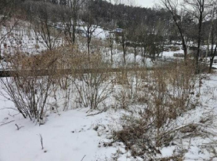 충청북도 단양군 가곡면 여천리 102 전 경매 사진 18