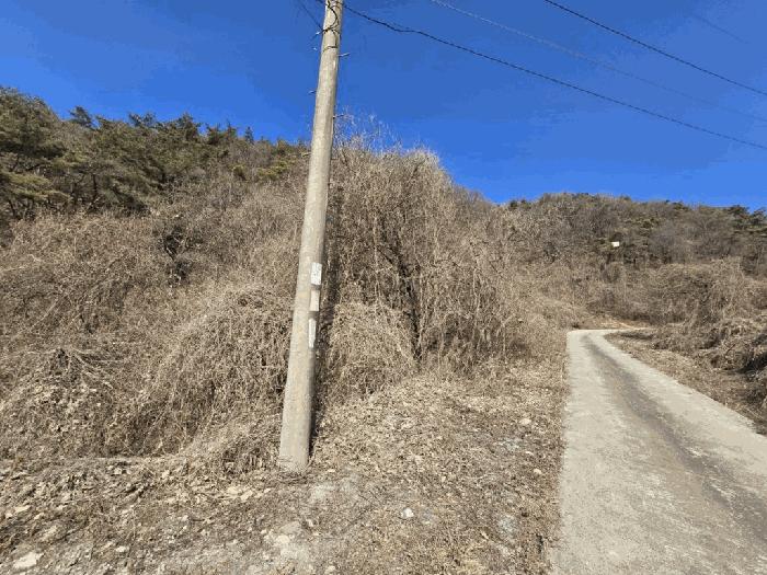 충청북도 단양군 가곡면 여천리 102 전 경매 사진 2