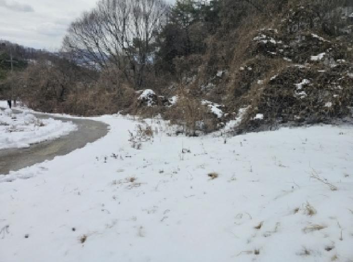 충청북도 단양군 가곡면 여천리 102 전 경매 사진 8