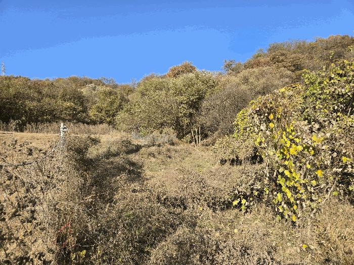 충청남도 아산시 음봉면 산동리 15-1 전 경매 사진 1